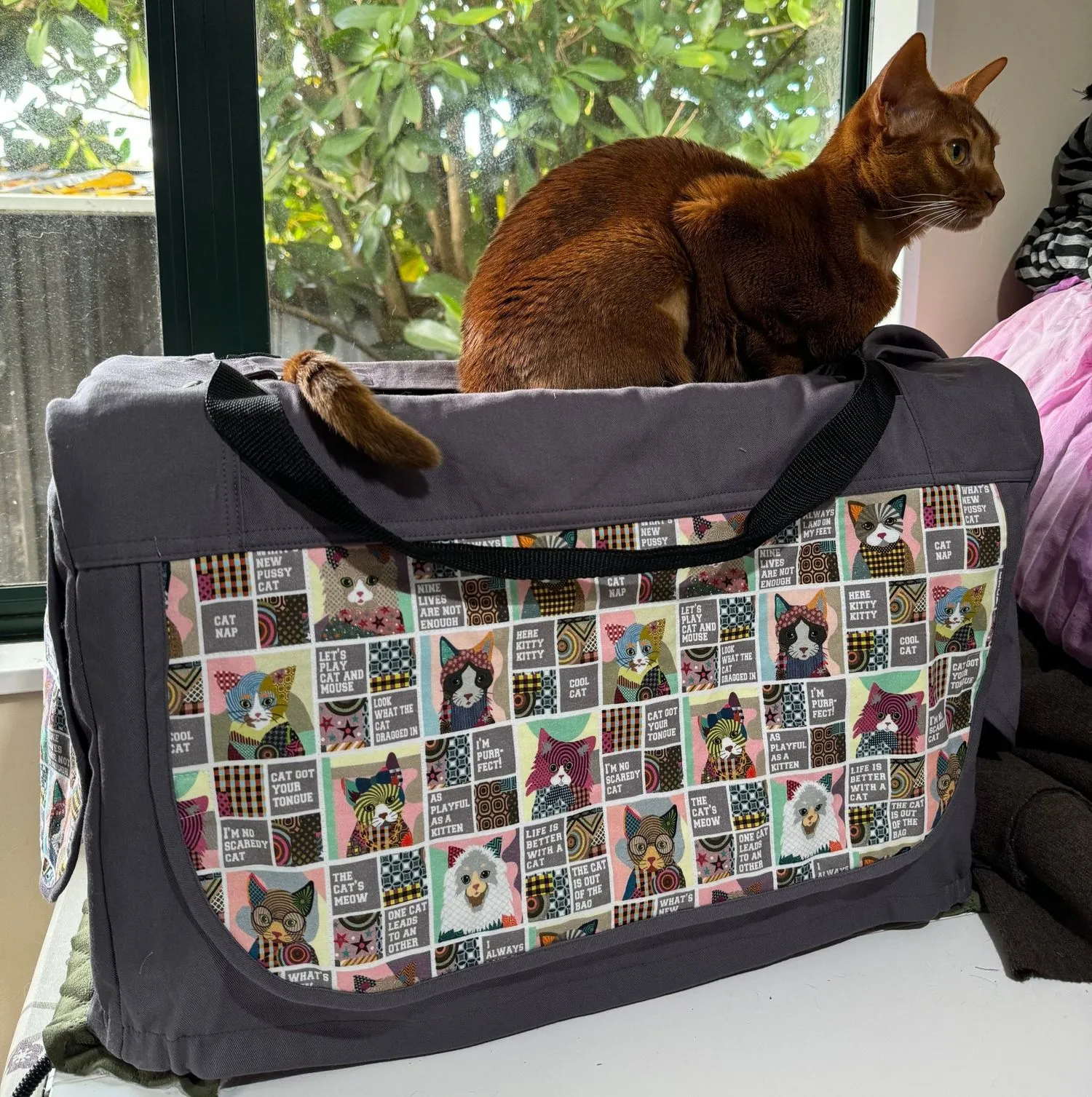 Cat Carrier Cover